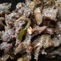 Cooksnap dari Kizha Diny Atikah untuk resep Bistik daging sapi (simpel dan mudah)
