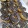 Cooksnap dari Lamtiroy Sihombing untuk resep Donat no telur "1000an"