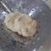 Cooksnap dari Abu KHOLID untuk resep Cireng nasi