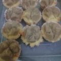 Cooksnap dari Murni Asih untuk resep Bolu Kukus No Mixer & No Telur