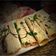 صورة من @diet_jojohealthmeals، شاركها بعد تجربة وصفة شاورما بسيطه