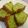 Cooksnap dari Novi Herawati untuk resep Bika ambon pandan suji (Re-Bread)