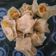 Cooksnap dari Rima Sari untuk resep Dimsum Ayam