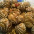 Cooksnap dari Nqtha meyland untuk resep Kerang Dara Saus Padang