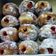 Cooksnap dari Shella Rahayu untuk resep Donut bomboloni super empuk