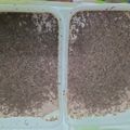 Cooksnap dari Eka Kusuma untuk resep Es krim lembut rumahan
