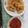 Cooksnap dari ari noviati untuk resep Cumi goreng tepung + saus asam manis