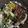 Robyn Barnett's cooksnap of when they made Mozzarella Portobello Parmesan smothered sirloin steak.