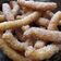 Rózsáné Fózer Éva Cooksnap-ja, amikor elkészítette a(z) Churros receptet.