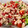 El cooksnap de Irene-Guirao cuando hizo Ensalada de verano.