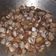 Cooksnap dari Aditya Jaka Prasetyo untuk resep Kerang Dara Saus Asam Manis