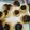 Cooksnap dari Ririn Sabrina untuk resep Blueberry Cheese Cookies