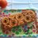 il GiusyHomeMade quando ha preparato Cuore di arancia e gocce di cioccolato