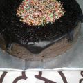 Cooksnap dari anisatur raehan untuk resep Sponge cake coklat ekonomis