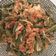 Cooksnap dari UmmuRama untuk resep Urap Sayuran