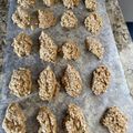 Jeffrey Durham's cooksnap of when they made No Bake Peanut Butter Cookies.