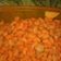 Cooksnap dari Luluk Yazidatul untuk resep Makaroni Goreng