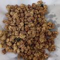 Cooksnap dari ella phytha untuk resep Kacang Telur Kribo