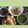 Shikha Yashu Jethi's cooksnap of when they made Tangy Chatpati Masaledar Pani Puri.