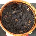 El cooksnap de olivia_fuente cuando hizo Arroz negro de chipirones y langostinos.