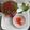 Seema Sharma's cooksnap of when they made Gond-Rose Shake.