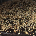 El cooksnap de Hanan cuando hizo Cobertura de chocolate para tartas.