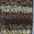 Cooksnap dari sari ningsih untuk resep Brownies panggang