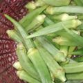 Parul Grover का कुकस्नैप जब उन्होंने भरवा भिंडी (bharwa bhindi recipe in Hindi) बनाया था।