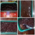 Cooksnap dari Maya Puspita Sari untuk resep Brownies kukus lumer