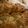 El cooksnap de Javii cuando hizo Pan Dulce Jalá (Challah) de Año Nuevo🎉.