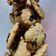Cooksnap dari Yuliah Harwati untuk resep (Recook) Oat Cookies (Cemilan Sehat/Diet)
