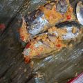 Cooksnap dari Ria Hidayati Effendi untuk resep 009. PEPES IKAN TONGKOL
