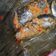 Cooksnap dari Ria Hidayati Effendi untuk resep 009. PEPES IKAN TONGKOL