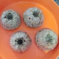 Cooksnap dari C untuk resep Bolu Pisang Kukus Lembut Tanpa Telur