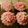 El cooksnap de vania solis cuando hizo Cupcakes de Vainilla🧁.