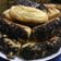 Cooksnap dari Kimimom untuk resep Pukis Kampung