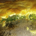 El cooksnap de Naty cuando hizo Tarta de espinaca y queso.