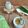 Cooksnap dari Yash Larasati untuk resep Bubur Ganepo
