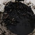 Cooksnap dari Ajeng Wulandari untuk resep 408 - Cumi Cumi Tinta Hitam