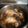 朵莉小妞 的 香菇雞湯 Chicken Soup with Mashrooms cooksnap