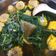 Cooksnap dari anastasia wdl untuk resep Sayur Bayam Bening