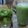 Cooksnap dari Eka Purwaningsih untuk resep Honeydew Kiwi Smoothie
