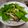 潘俊霖的(簡單料理) 的 蠔油杏鮑菇炒碗豆莢 cooksnap