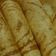 Jayshree Doshi's cooksnap of when they made મસાલા ઢોસા (Masala Dosa Recipe In Gujarati).
