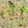 Ñôôri Màlîk's cooksnap of when they made Chicken Shashlik with egg fried rice.