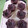 Cooksnap dari ima untuk resep Brownies kukus chocolatos (chocochips+keju) simple & no mixer