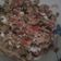 El cooksnap de Nao Tomori cuando hizo Ensalada de judías verdes.