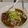 Cooksnap dari Gede Adhyatma untuk resep Curry udon