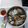 Cooksnap của Dương Hồng Thùy Dương khi họ làm theo món Bún mọc