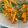 Cooksnap dari nfyb untuk resep Tumis buncis,wortel,jagung,ayam (menu diet sehat)